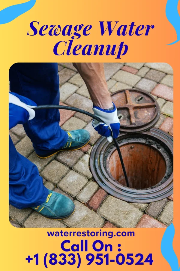 Sewage Water Cleanup in Greenville, GA