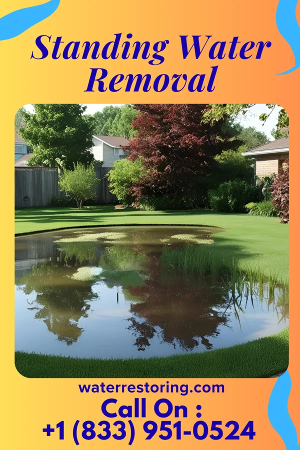 Standing Water Removal in Greenville, GA